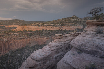 View of the canyon in the Colorado National Monument Park