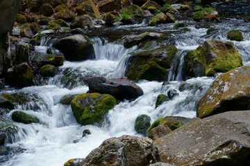 Fototapeta na wymiar 滝のある川の流れの初夏の風景