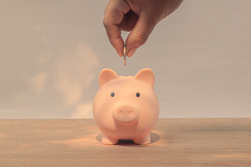 Piggy bank saving money for the future.