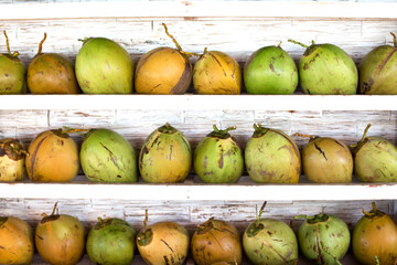 Many young coconuts in rows in cafe on the beach.