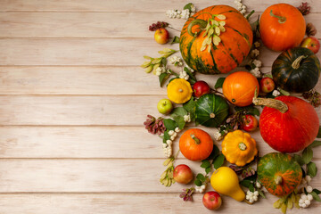Fall background with pumpkin, seeds, snowberry, copy space