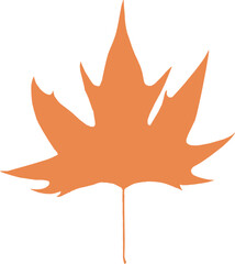 mapple leaf at autumn seasons, vector