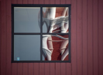 Window of an apartment building in Bellingham