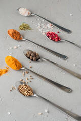 Multicolored spices on a gray background. 