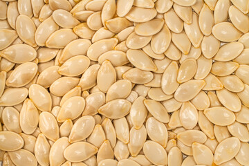 Zucchini seeds. Background texture of fresh zucchini seeds.