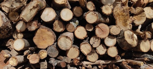 stack of firewood