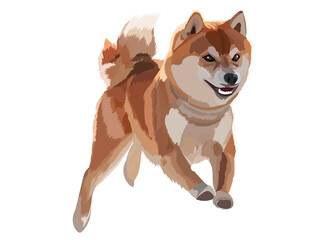 doge Shiba Inu is jumping SHIB