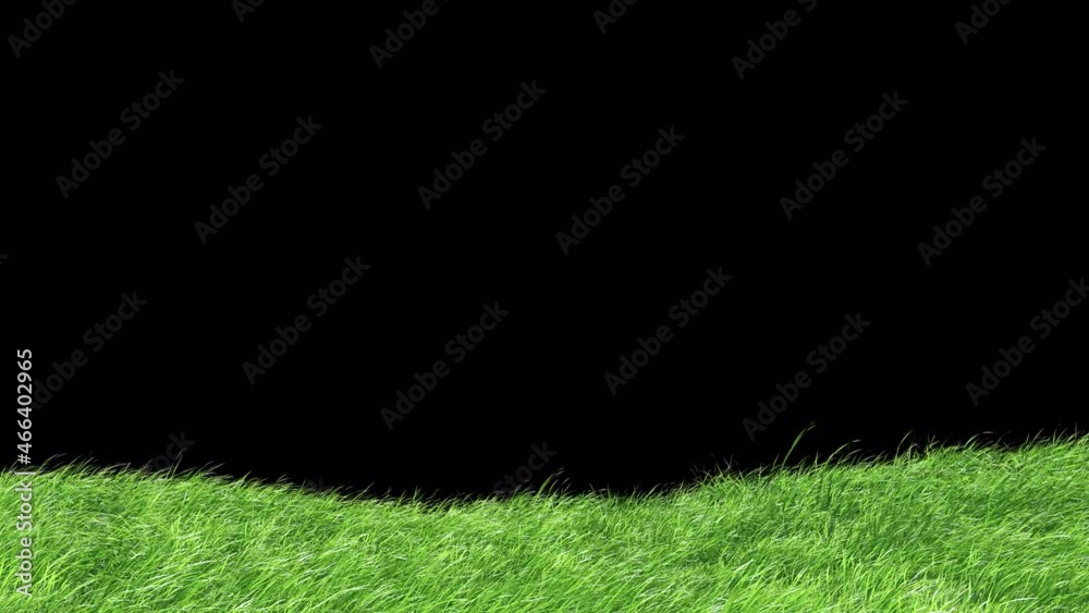 Wall mural mountain grass swaying wind loop with alpha channel. element footage you can place on background.