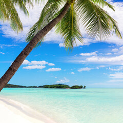 Tropical island beach view, green palm tree leaves, turquoise sea water, ocean waves, white sand, blue sunny sky, clouds, exotic nature landscape, summer holidays, Maldives vacation, Caribbean travel