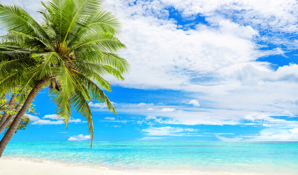 Tropical island beach panorama, green palm tree leaves, turquoise sea water, ocean waves, white sand, sun, blue sky, clouds, exotic nature landscape panoramic view, summer holidays, vacation, travel