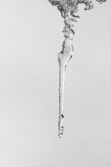 a long thin icicle on a gray sky background, black and white photo