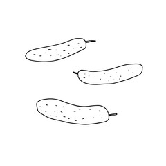 Vector outline illustration of a group fresh cucumbers isolated on a white background