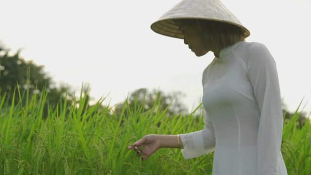 Young Woman Wearing Ao Dai Standing in Rice Paddy Vietnam