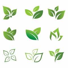 Mint leaves flat vector color icon template illustration design