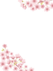 満開の桜