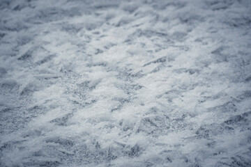 Obraz premium Frozen ice crystal closeup. Freezing water in a pond. Cold winter, textured surface, white abstract pattern. Selective focus on the details, blurred background.