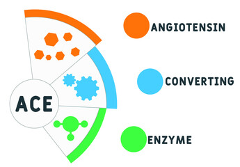 ACE - Angiotensin Converting Enzyme acronym. business concept background.  vector illustration concept with keywords and icons. lettering illustration with icons for web banner, flyer, landing  