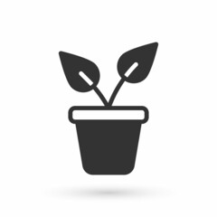 Grey Plant in pot icon isolated on white background. Plant growing in a pot. Potted plant sign. Vector