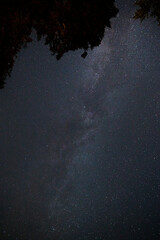 milky way near Victoria, Canada