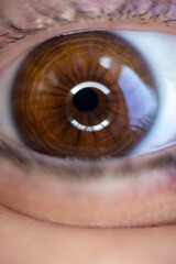 brown pupil, girl's eye close-up