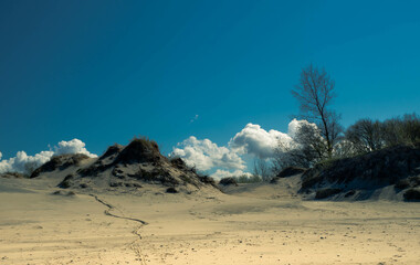 Sand dunes by the sea. Baltic Sea, Kaliningrad region 