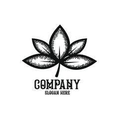 classic plant leaf logo. vintage leaf vector illustration .retro style leaf vector