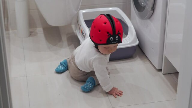 Cute baby wearing safety helmet crawling on the floor, 7 month old baby boy exploring cat litter box in the bathroom. High quality 4k footage