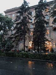 street in the night