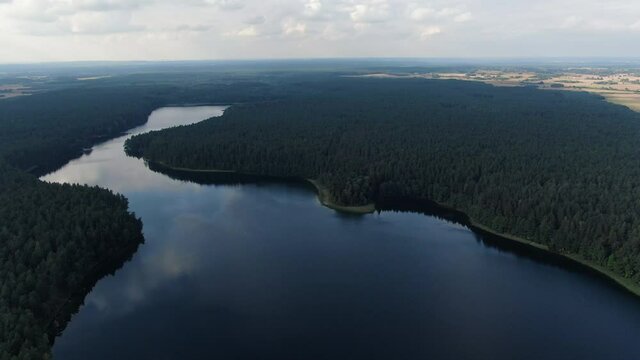 Massive lake of Aviris in Lithuania, surrounded by dense forestry landscape, aerial drone view