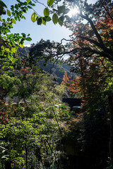 日本の秋・紅葉し始める山間部の風景