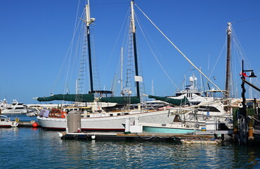 Marina am Golf von Mexico in Key West, Florida Keys
