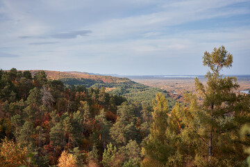 Autumn landscape. Bright and colorful trees in Amur region