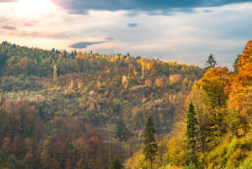 autumn forest at dawn. trees with yellow and orange leaves in the mountains at the beginning of the day. autumn background season.
