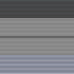 Fototapeta premium Black and White Double Striped seamless pattern design