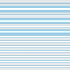 Fototapeta premium Sky Blue Double Striped seamless pattern design