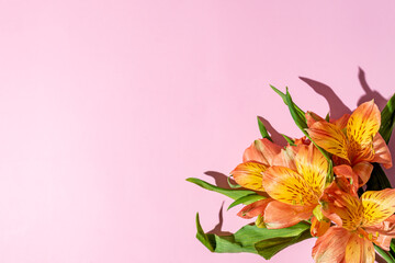 Delicate floral arrangement orange astromelias. Background for greetings, invitations, wedding, engagement with copy space.