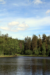 Obraz premium The amazing nature of the Karelian Isthmus. Forests of Karelia.