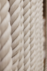 Strong white ropes weigh upright on white background