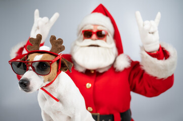 Santa claus and santa's helper in sunglasses on a white background. Jack russell terrier dog in a deer costume