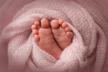 Legs, toes, feet and heels of a newborn baby. Wrapped in a pink knitted blanket.