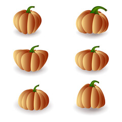 Pumpkins of different shapes with a shadow on a white background.