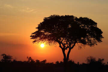 Sonnenuntergang Krüger Park Südafrika / Sundown Kruger Park South Africa /