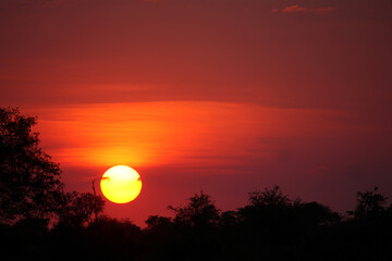 Sonnenuntergang Krüger Park Südafrika / Sundown Kruger Park South Africa /