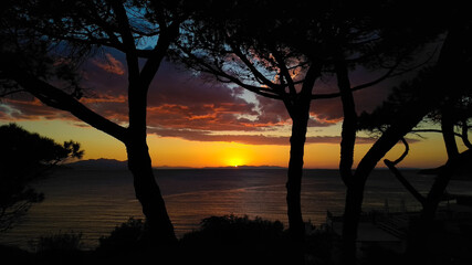 Romantic sunset on sea, pines silhouette on foreground, Piombino, Italy