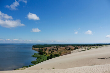 View of the Curonian Spit in the heights of a sand dune on a sunny summer day