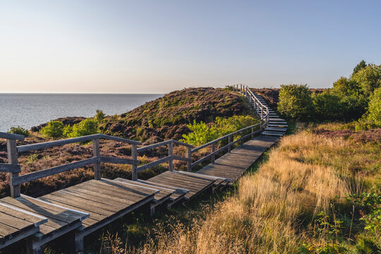 Empty boardwalk in Braderuper Heide nature reserve