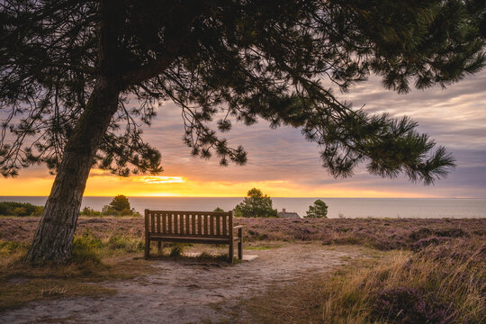Empty bench overlooking Wadden Sea in Braderuper Heide reserve at sunset