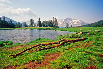 Yosemite National Park, California