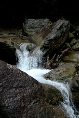 Tiny but powerful. Small waterfall in the park nearby Ningbo, China.
