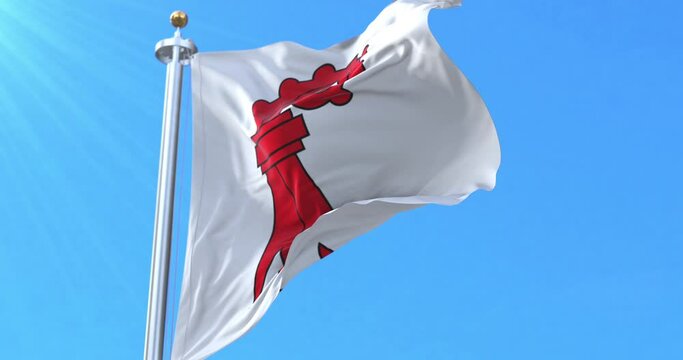 Canton of Basel Landschaft Flag, Switzerland. Loop